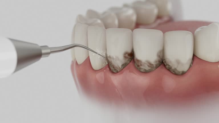 Reliable Dental contractor in Greenwood, PA by Dentist Open Now